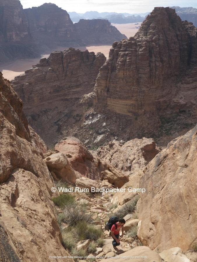 Wadi Rum Backpacker Camp Eksteriør billede