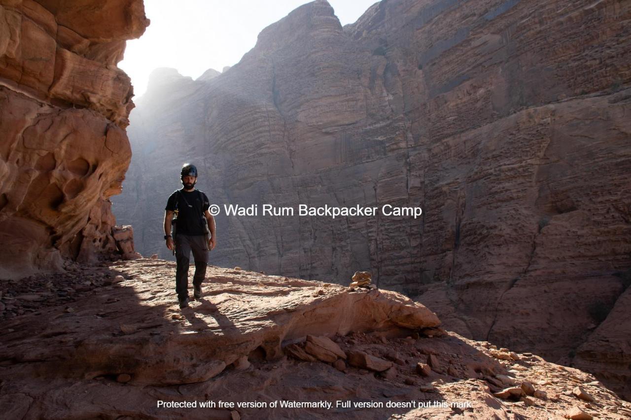 Wadi Rum Backpacker Camp Eksteriør billede